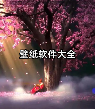 壁纸软件大全