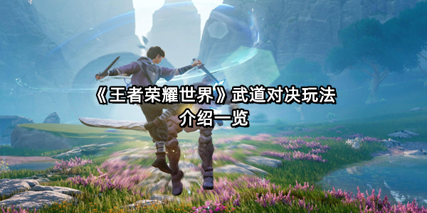 《王者荣耀世界》武道对决玩法介绍一览