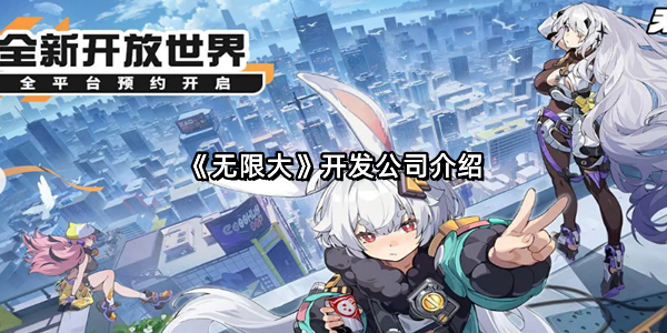 《无限大》开发公司介绍