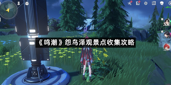 《鸣潮》怨鸟泽观景点收集攻略