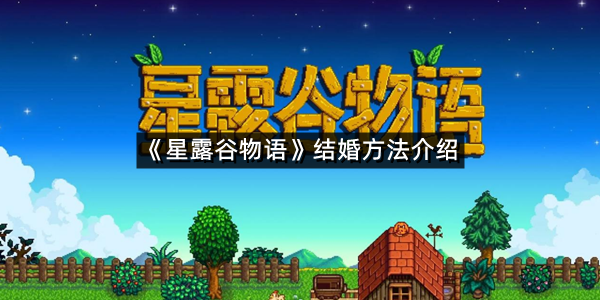 《星露谷物语》结婚方法介绍
