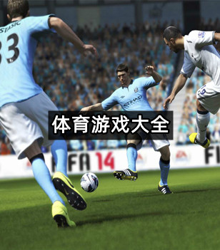 体育游戏大全