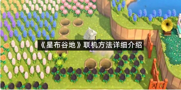 《星布谷地》联机方法详细介绍