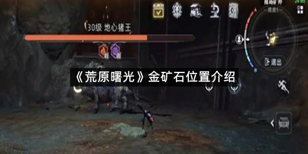 《荒原曙光》金矿石位置介绍
