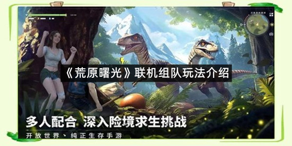 《荒原曙光》联机组队玩法介绍