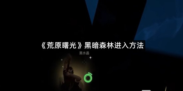 《荒原曙光》黑暗森林进入方法