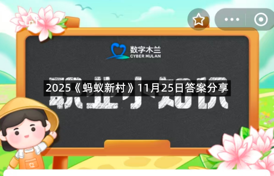 2025《蚂蚁新村》11月25日答案分享