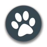 兽音译者在线翻译器