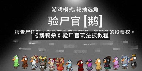 《鹅鸭杀》验尸官玩法技教程