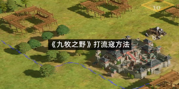 《九牧之野》打流寇方法