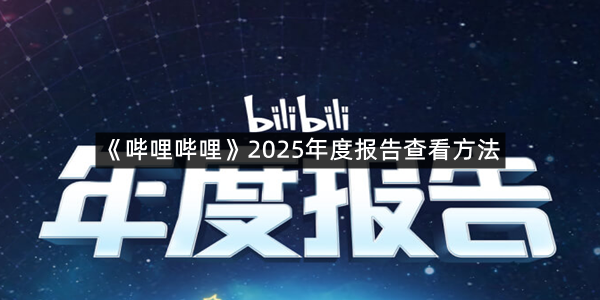 《哔哩哔哩》2025年度报告查看方法