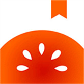 番茄小说最新版