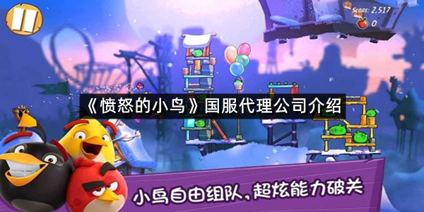《愤怒的小鸟》国服代理公司介绍