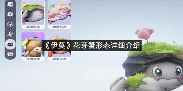 《伊莫》花芽蟹形态详细介绍