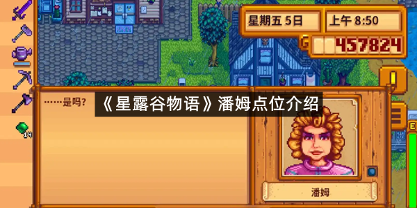 《星露谷物语》潘姆点位介绍