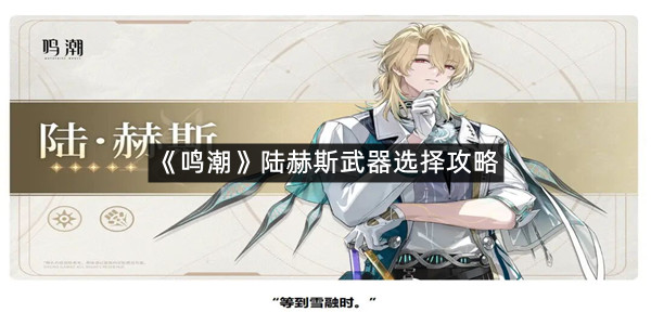 《鸣潮》陆赫斯武器选择攻略