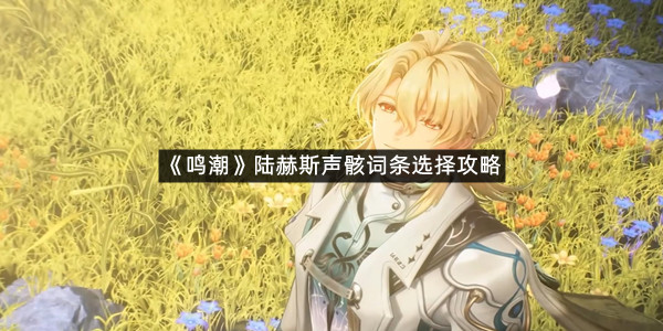 《鸣潮》陆赫斯声骸词条选择攻略