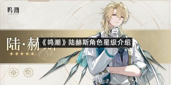 《鸣潮》陆赫斯角色星级介绍
