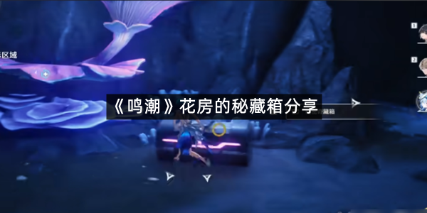 《鸣潮》花房的秘藏箱分享