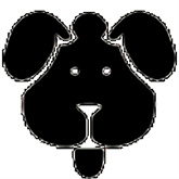 磁力狗入口引擎