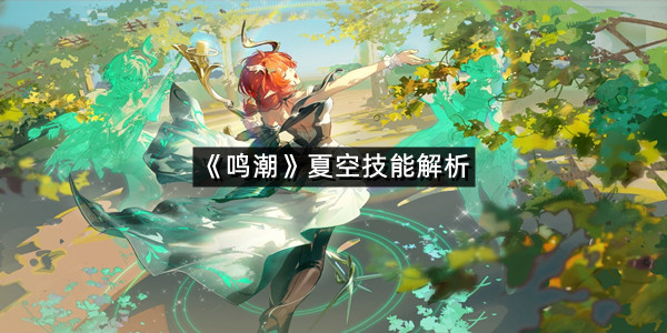 《鸣潮》夏空技能解析