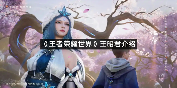 《王者荣耀世界》王昭君介绍