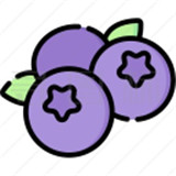 蓝莓音乐极速版