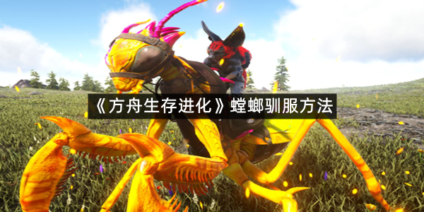 《方舟生存进化》螳螂驯服方法