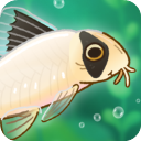 池趣养鱼最新版