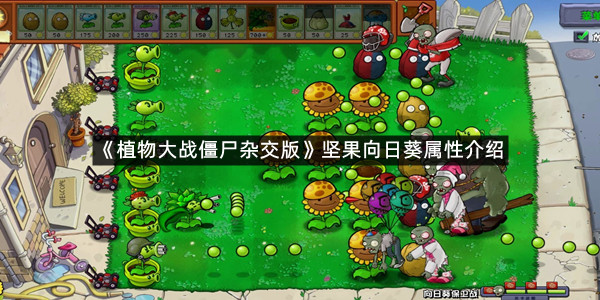 《植物大战僵尸杂交版》坚果向日葵属性介绍