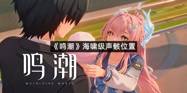 《鸣潮》海啸级声骸位置