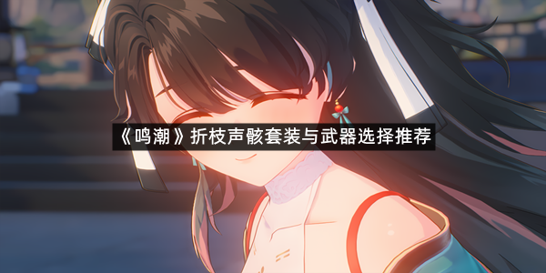《鸣潮》折枝声骸套装与武器选择推荐