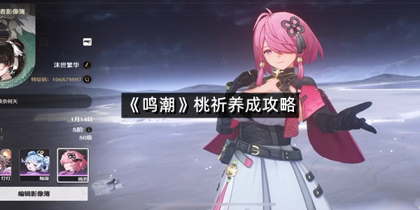 《鸣潮》桃祈养成攻略