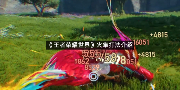 《王者荣耀世界》火隼打法介绍