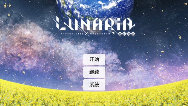 恋月物语：虚拟的月之公主截图