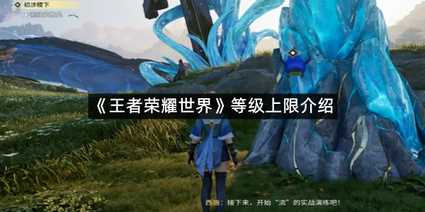 《王者荣耀世界》等级上限介绍