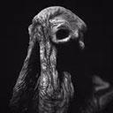 sarcoph最新版
