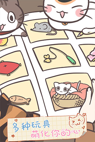 猫咪饲养日常截图