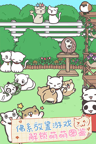 猫咪饲养日常手机版截图
