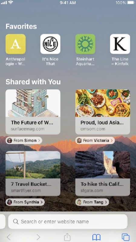 safari浏览器免费版截图