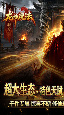 龙魂魔法 天命沉默专属爆截图
