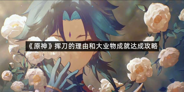 《原神》挥刀的理由和大业物成就达成攻略