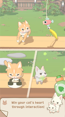 窗外的猫截图