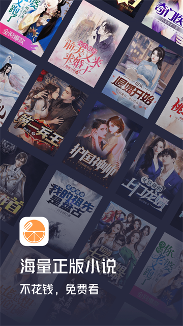 青橙小说截图