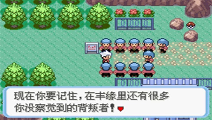 口袋妖怪蛇纹木重制版截图