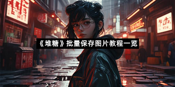 《堆糖》批量保存图片教程一览