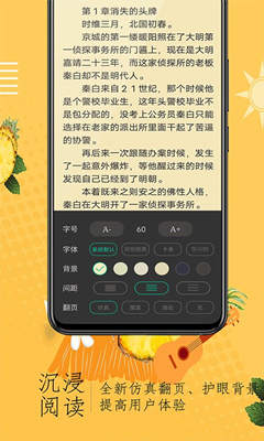 奇猫小说截图