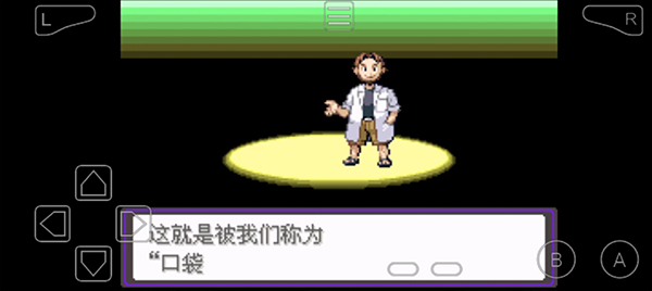 口袋妖怪漆黑的魅影5.0exbw截图