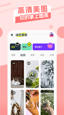 主题库截图