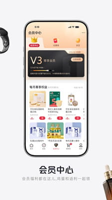 京东一号店截图